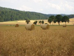 &quot;...bald in Korbach&quot;