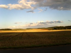 Buchenberg