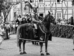 Der Eiserne - Freischiessen Mengeringhausen 2014